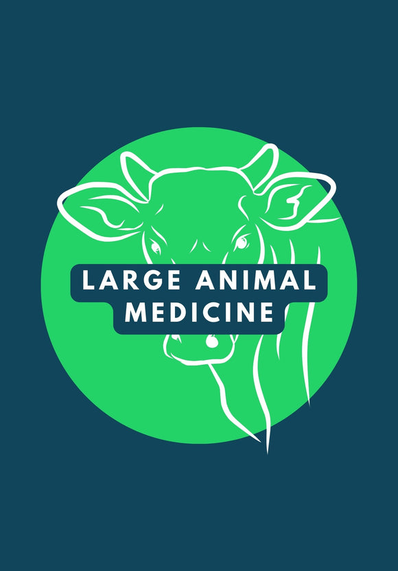 Large Animal Medicine